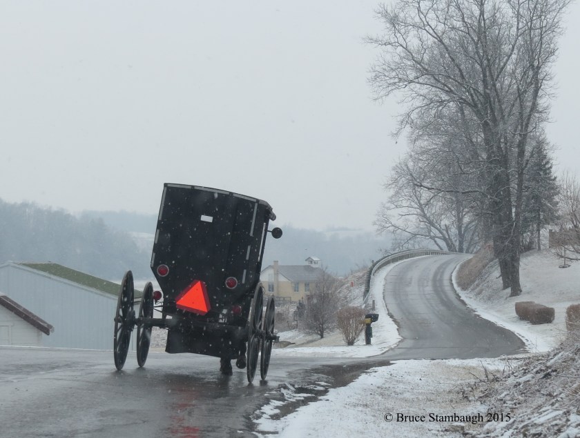 Amish buggy, first day of spring