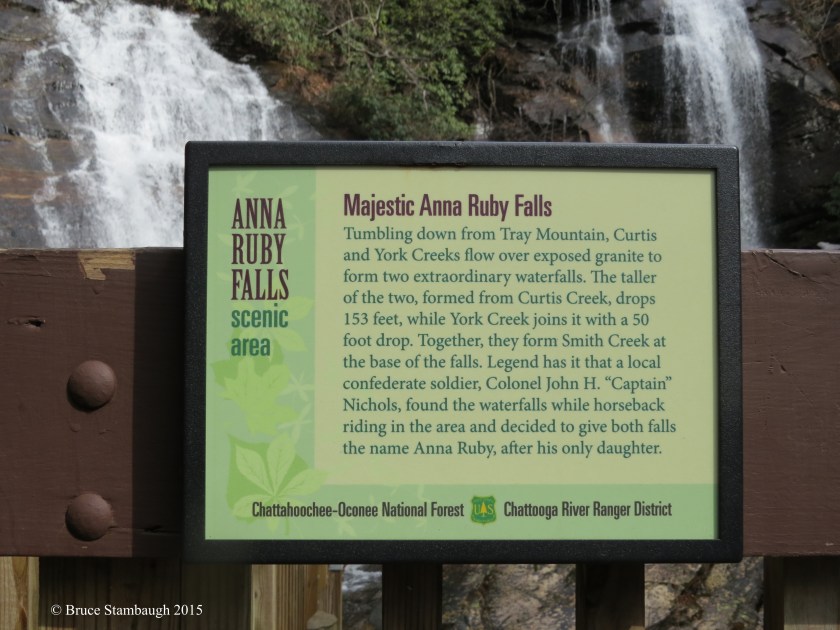 Anna Ruby Falls plague