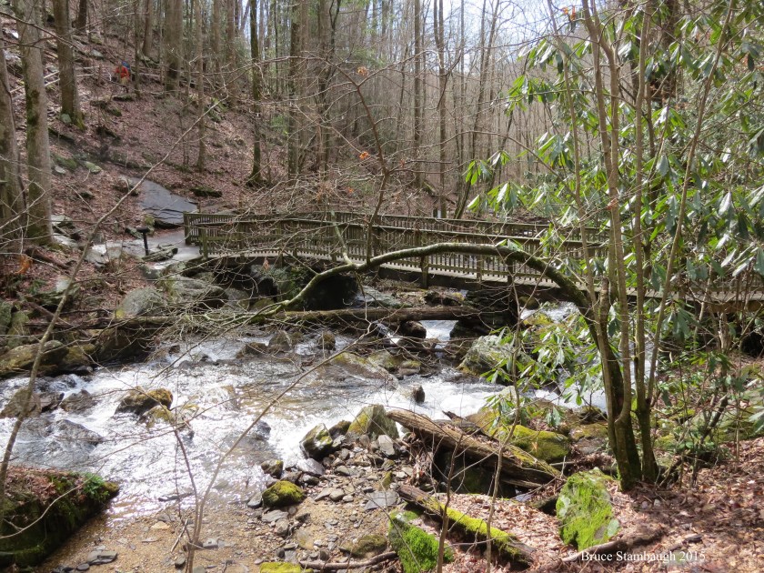 hiker, Anna Ruby Falls