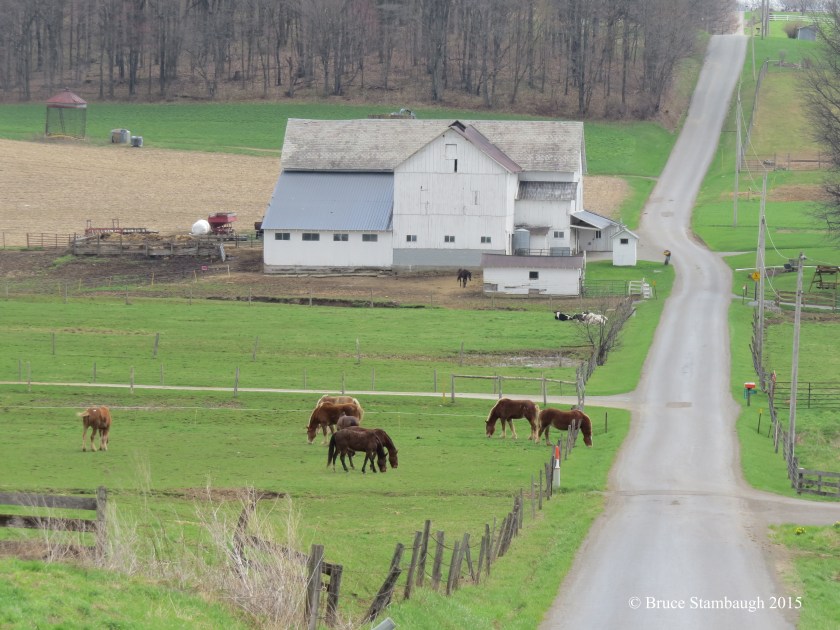 Amish country, horses, 