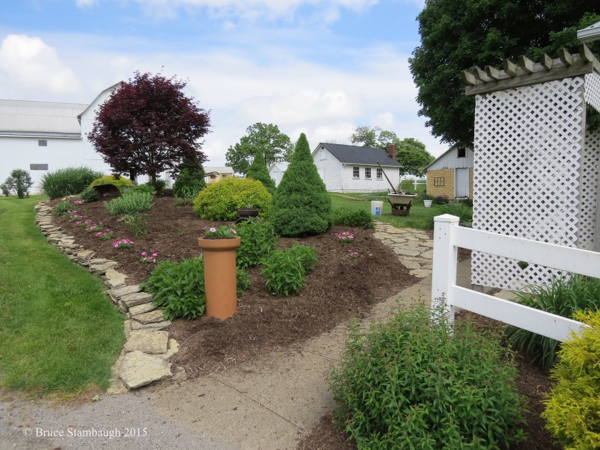 Amish flower garden