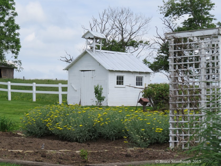 Killdeer, Amish farm garden