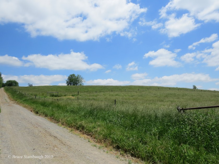 meadow, Amish farm