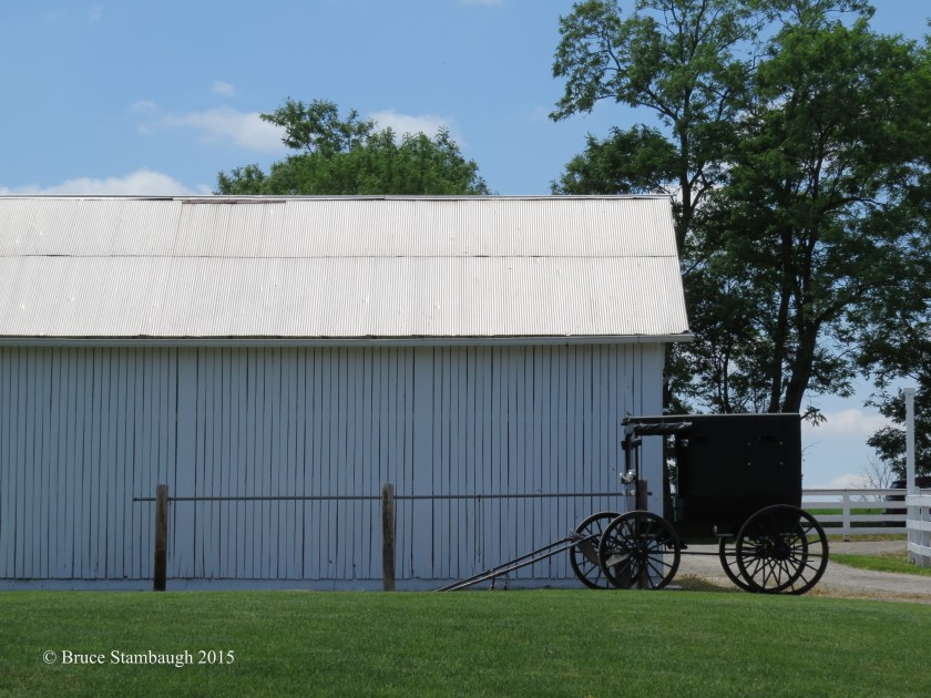 Amish buggy