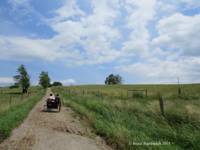 Amish girls, Amish cart, Ohio's Amish county