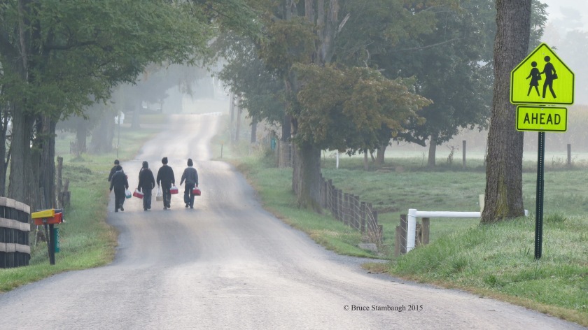 walk to school, Amish boys