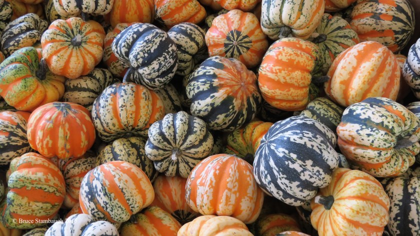gourds, farmers produce auction