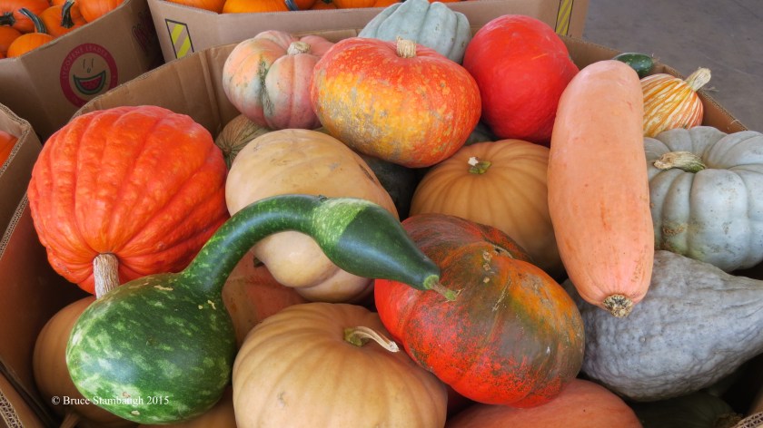 gourds, produce auction