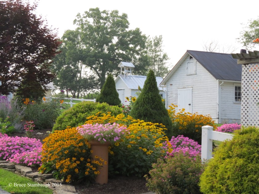 Amish flower garden