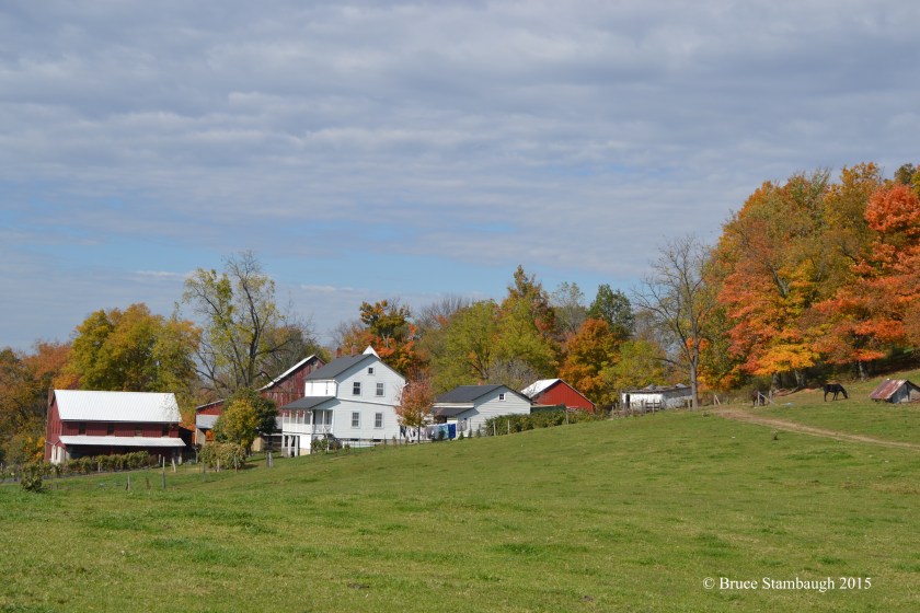 Amish farmstead