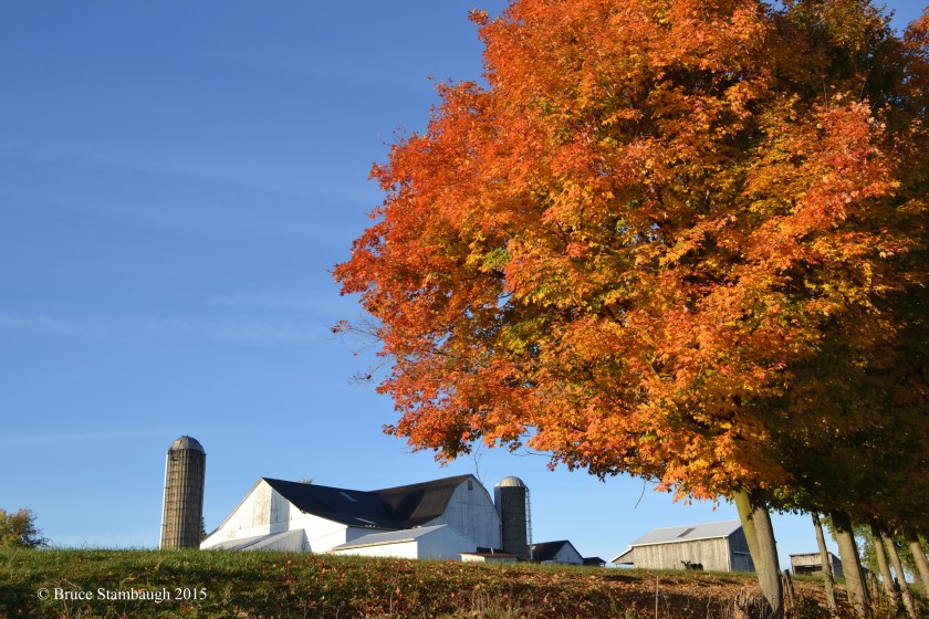 Amish farm, autumn, colorful leaves