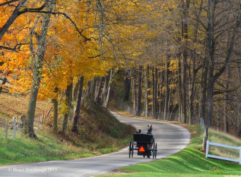 boys in Amish buggy