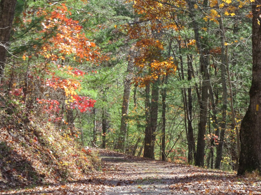 trail, fall color