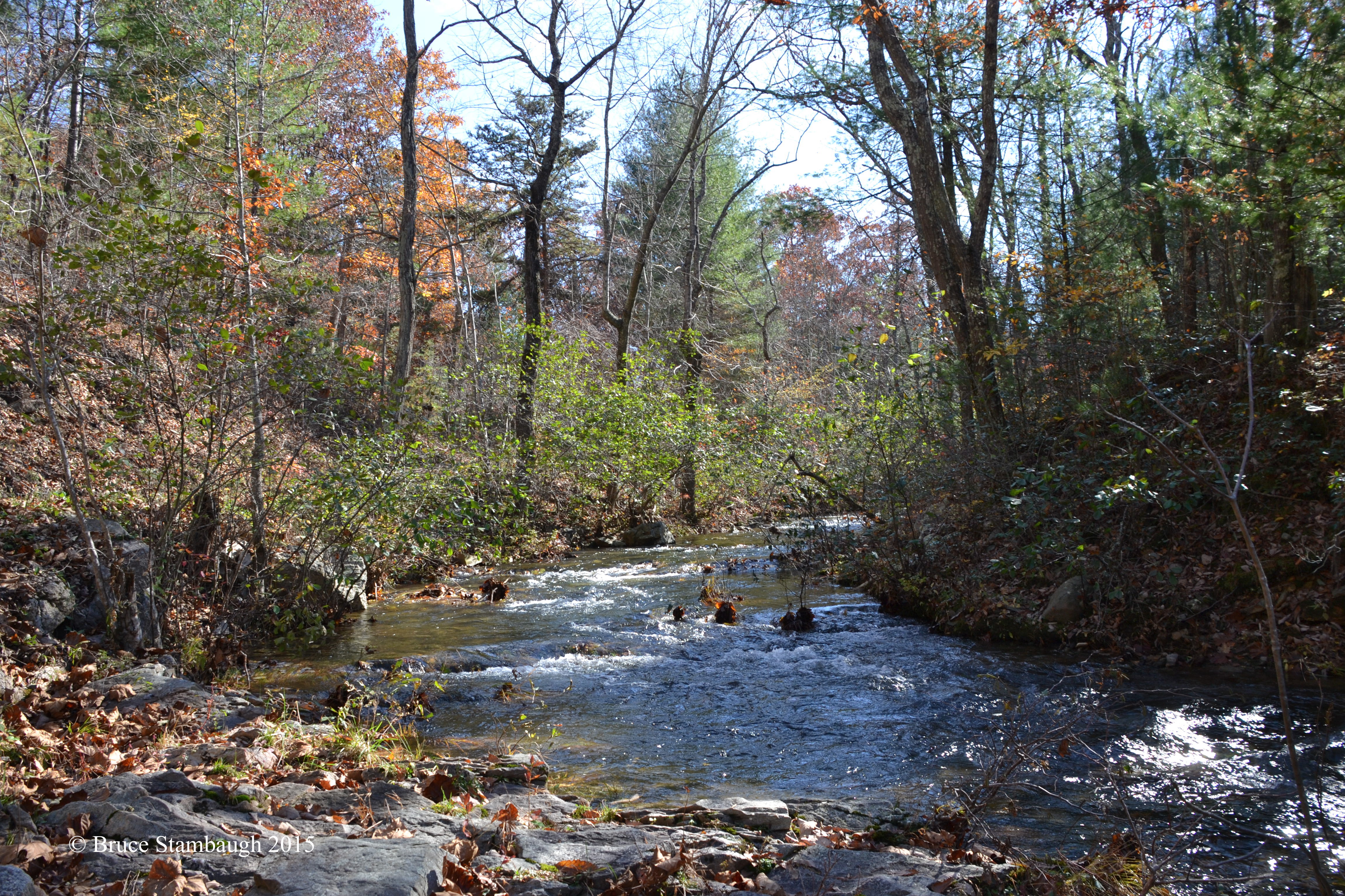mountain stream, Shenandoah NP