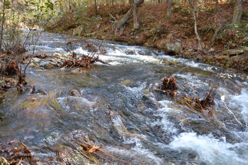stream rapids, VA
