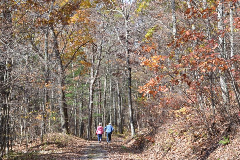 elder hikers