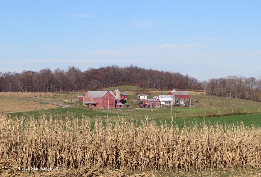 Amish farmstead