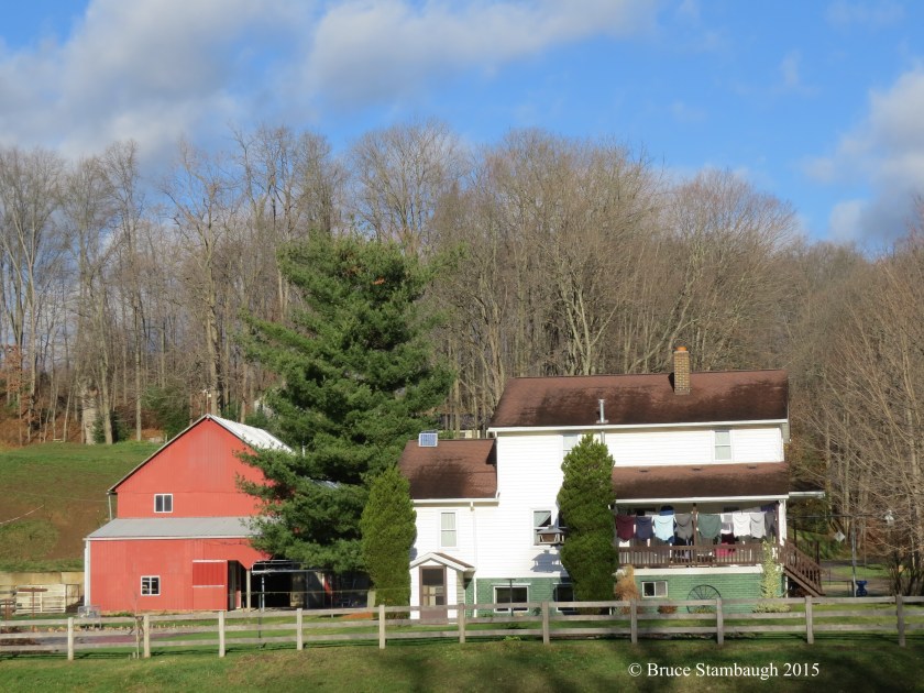 Amish laundry line