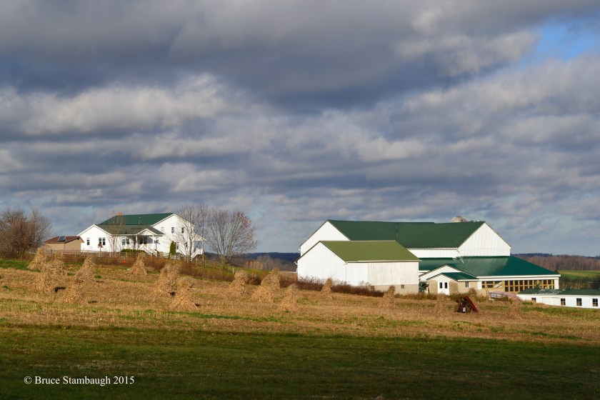 Amish farmstead