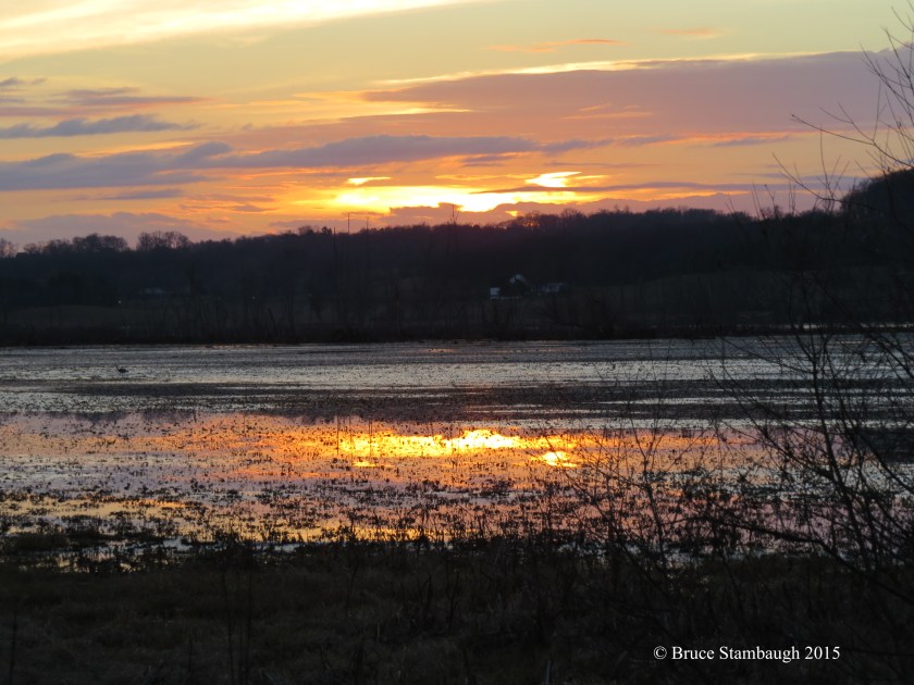 Killbuck Marsh Wildlife Area