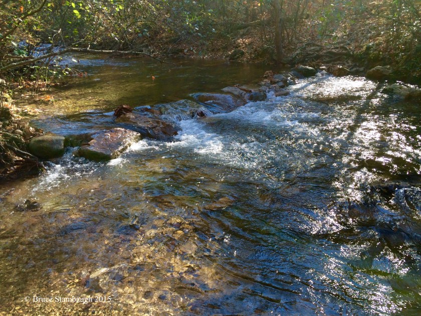 Creek crossing, stepping stones to trail