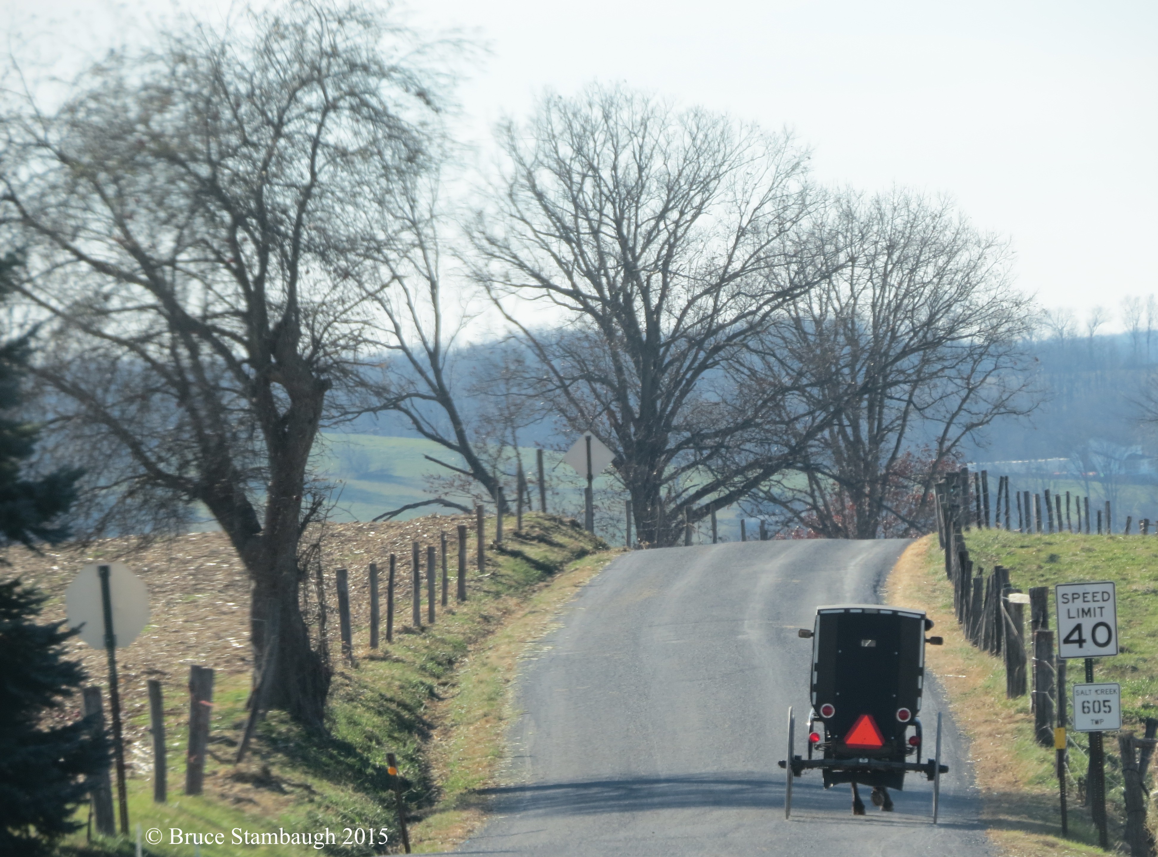 Amish buggy