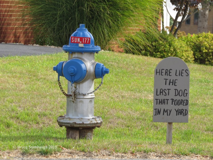 funny sign, laughing