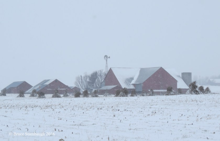 snowstorm, Ohio's Amish country
