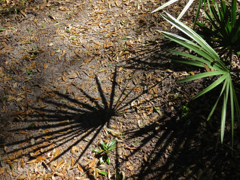 April 1, April Fools Day