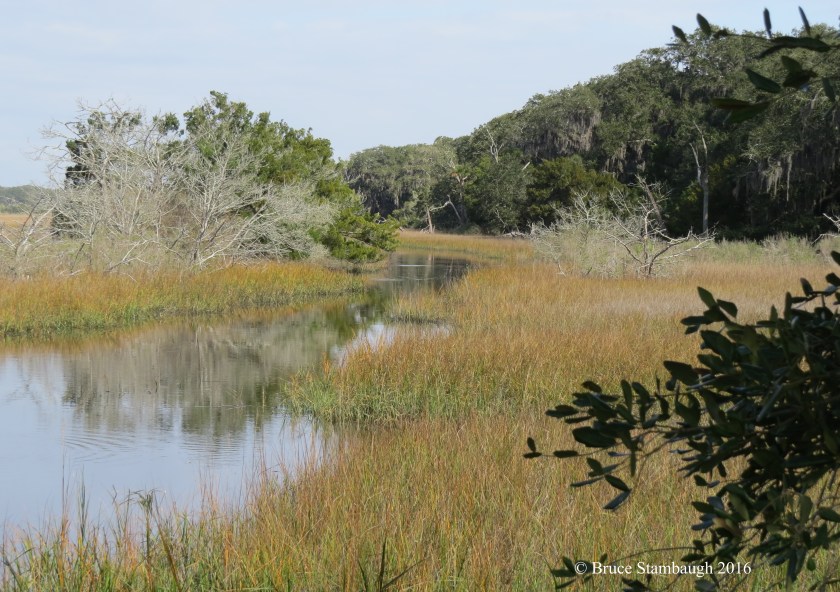 Egan's Creek Greenway