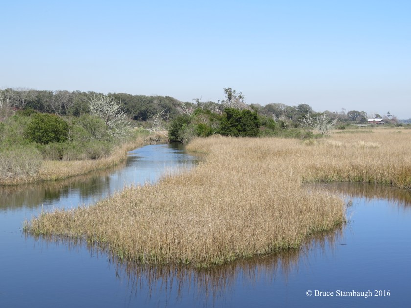 Egan's Creek Greenway