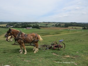 rural life, Ohio's Amish country