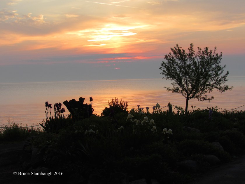lakeside flower garden