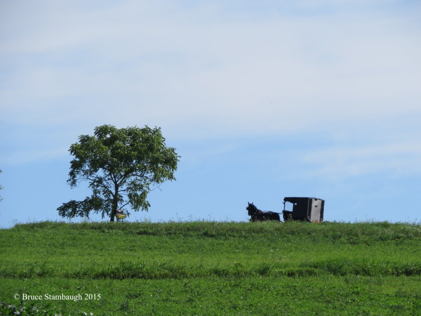 Amish buggy