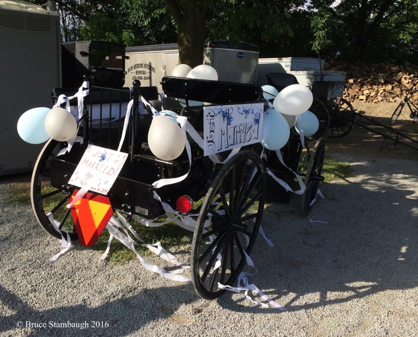 Amish wedding, Amish buggy