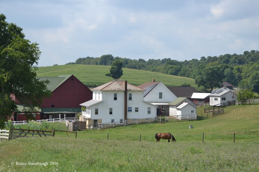 Amish farm, Holmes Co. OH