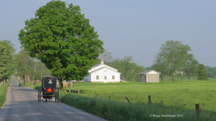 countryside, Amish buggy