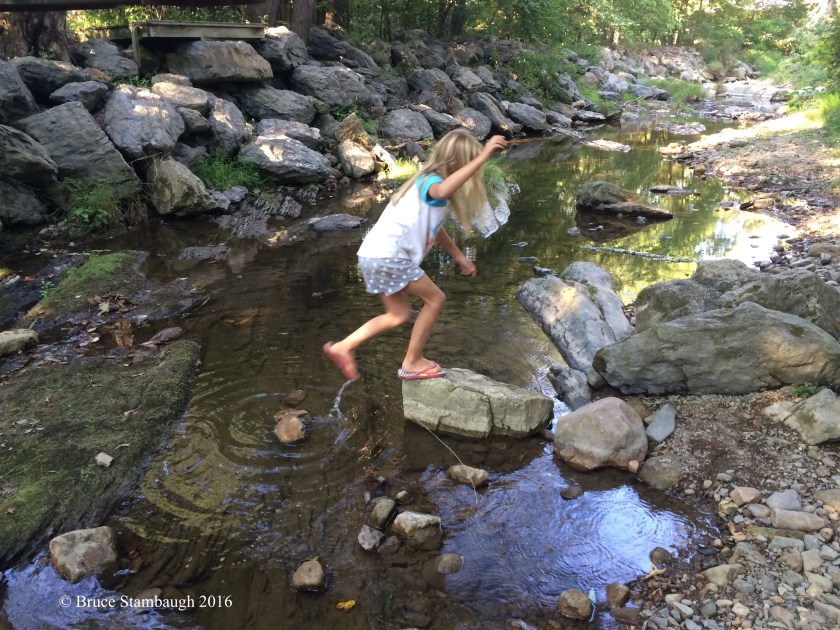 crossing mountain stream