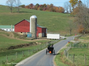 Amish buggy