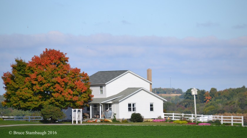 changing leaves, Holmes Co. OH