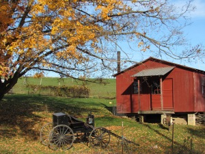 Amish buggy, autumn