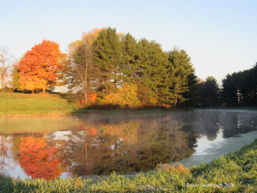autumn pond reflections