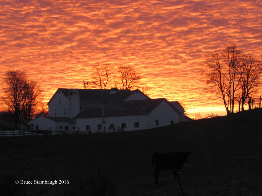 sunrise, Amish farm