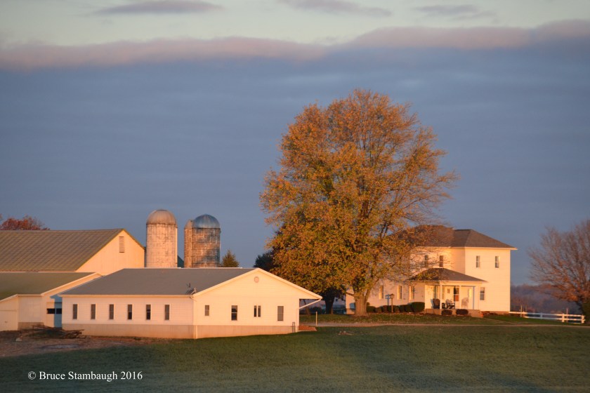 Amish farmstead, dawn's light