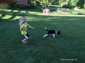 dog, granddaughter