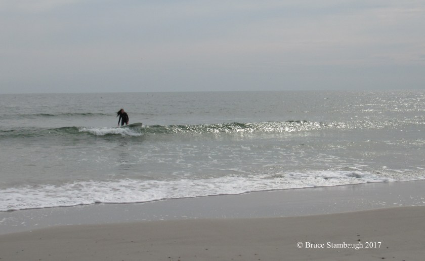 surfing, morning surfer
