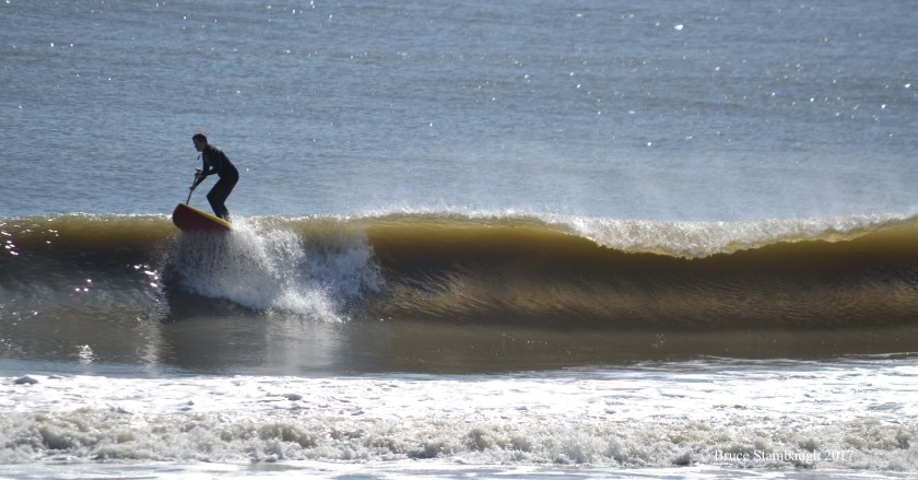 paddle board, surfing, Amelia Island FL