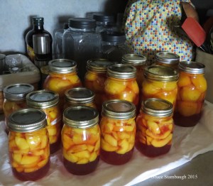 canned peaches, home canning