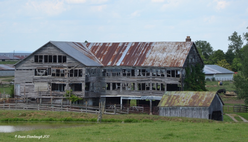 weathered barn, Virginia