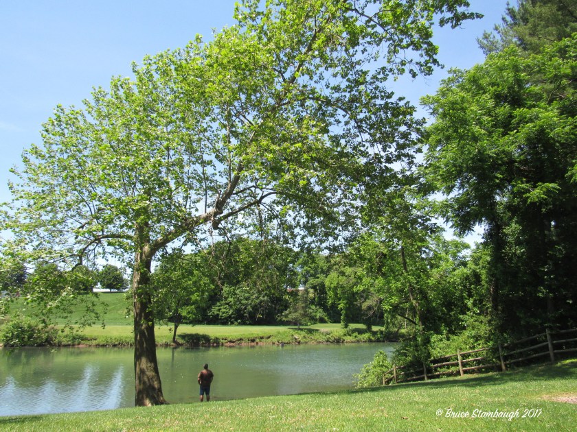 Bridgewater VA, North River